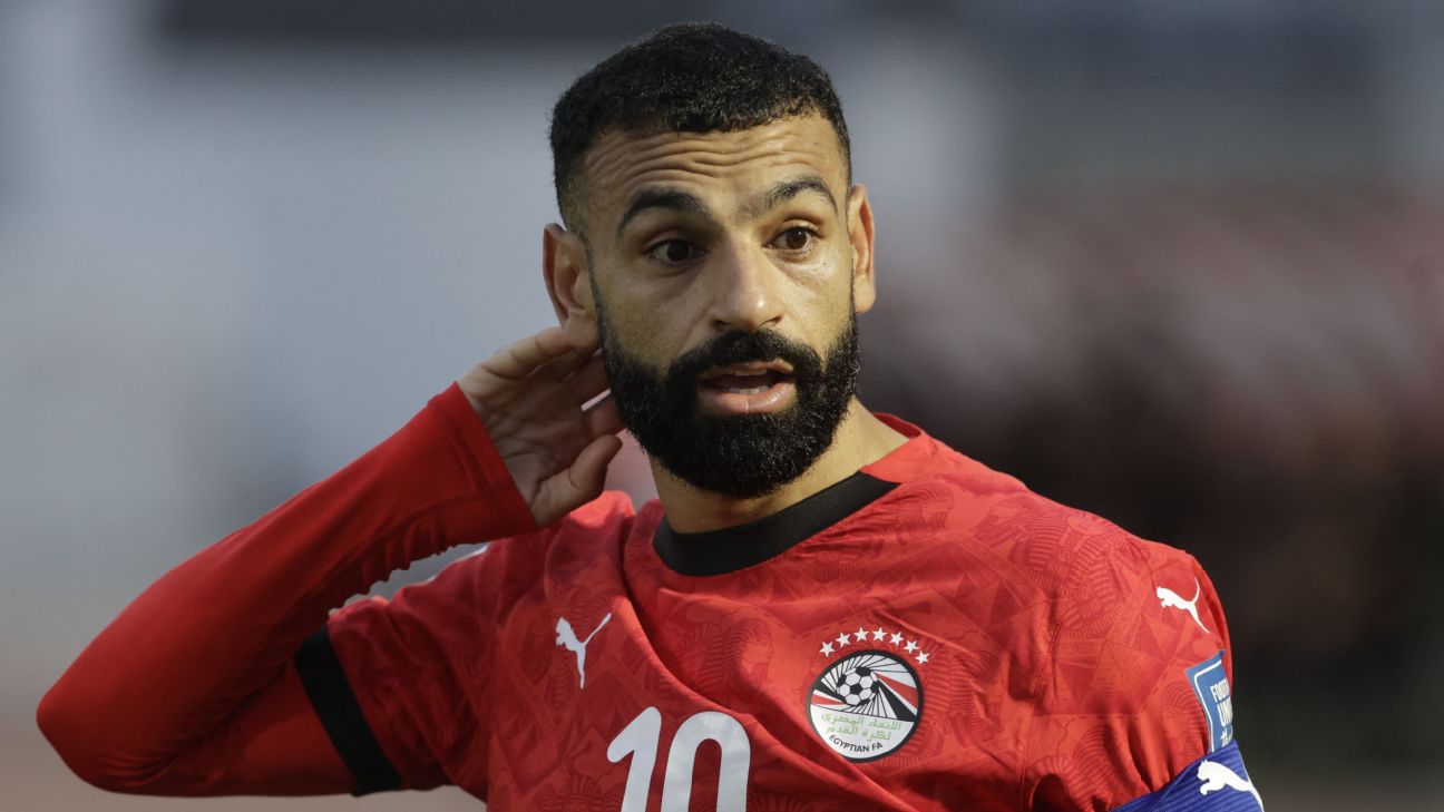 FIFA要求埃及世界杯球衣去掉七冠星标 数字也改成白色